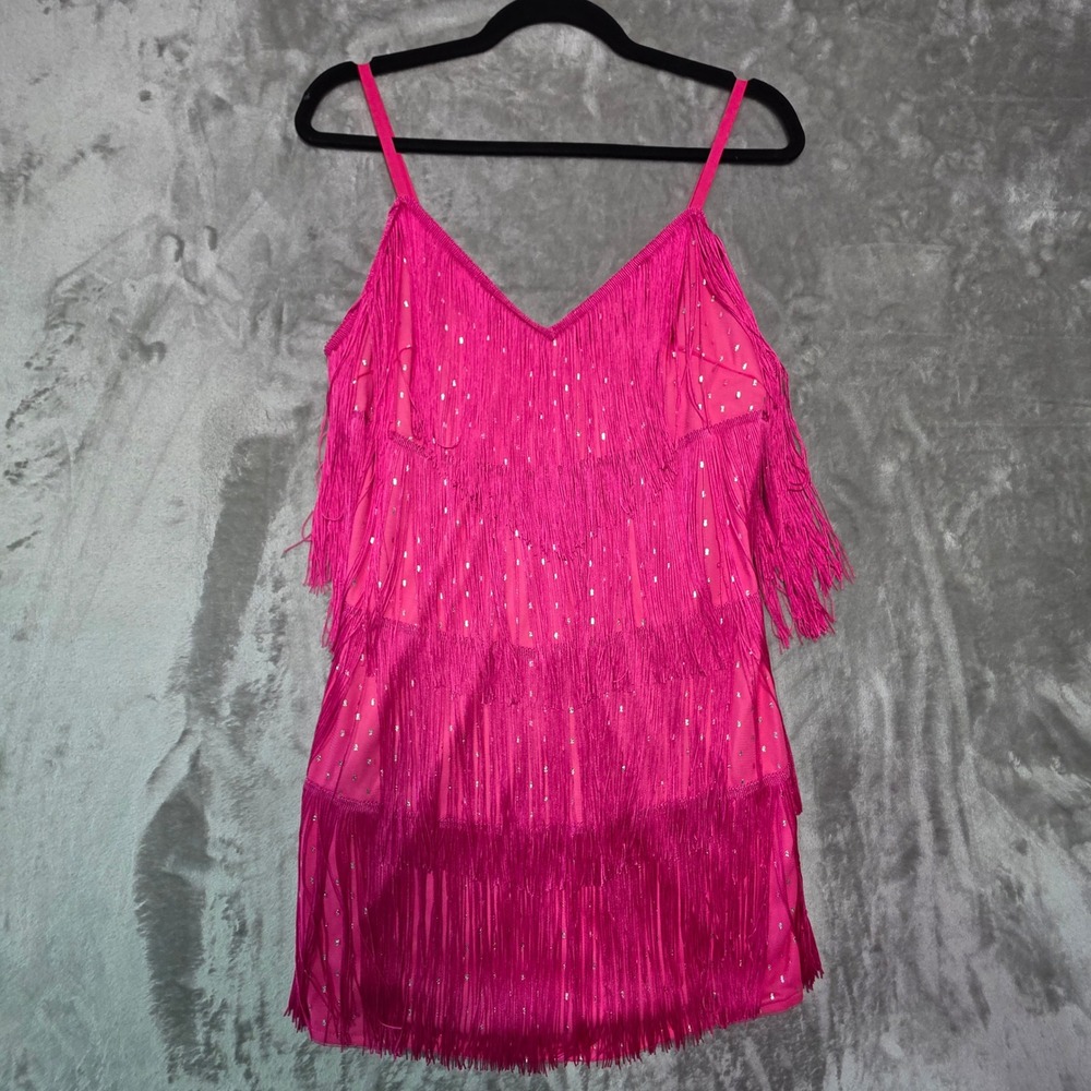 Hot Pink Fringe Flapper Mini Dress Silver Sequins Gatsby Party Dance Womens M